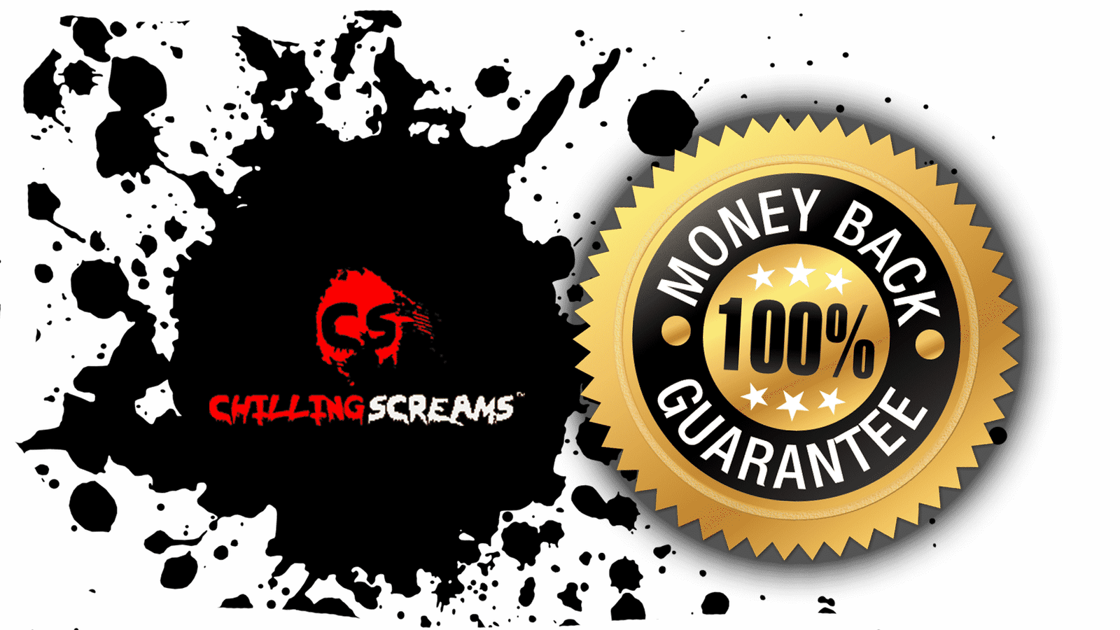 money-back-3