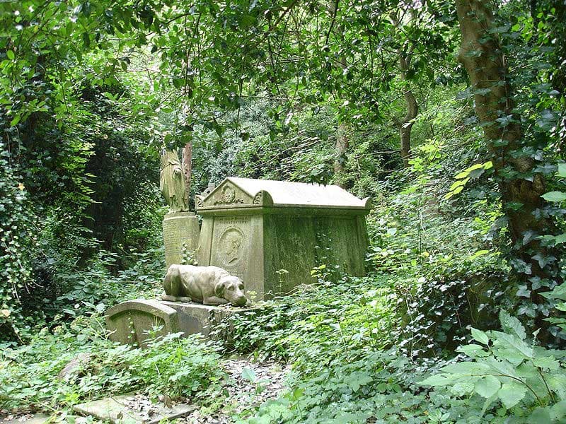 THE MYSTERY OF HIGHGATE CEMETERY